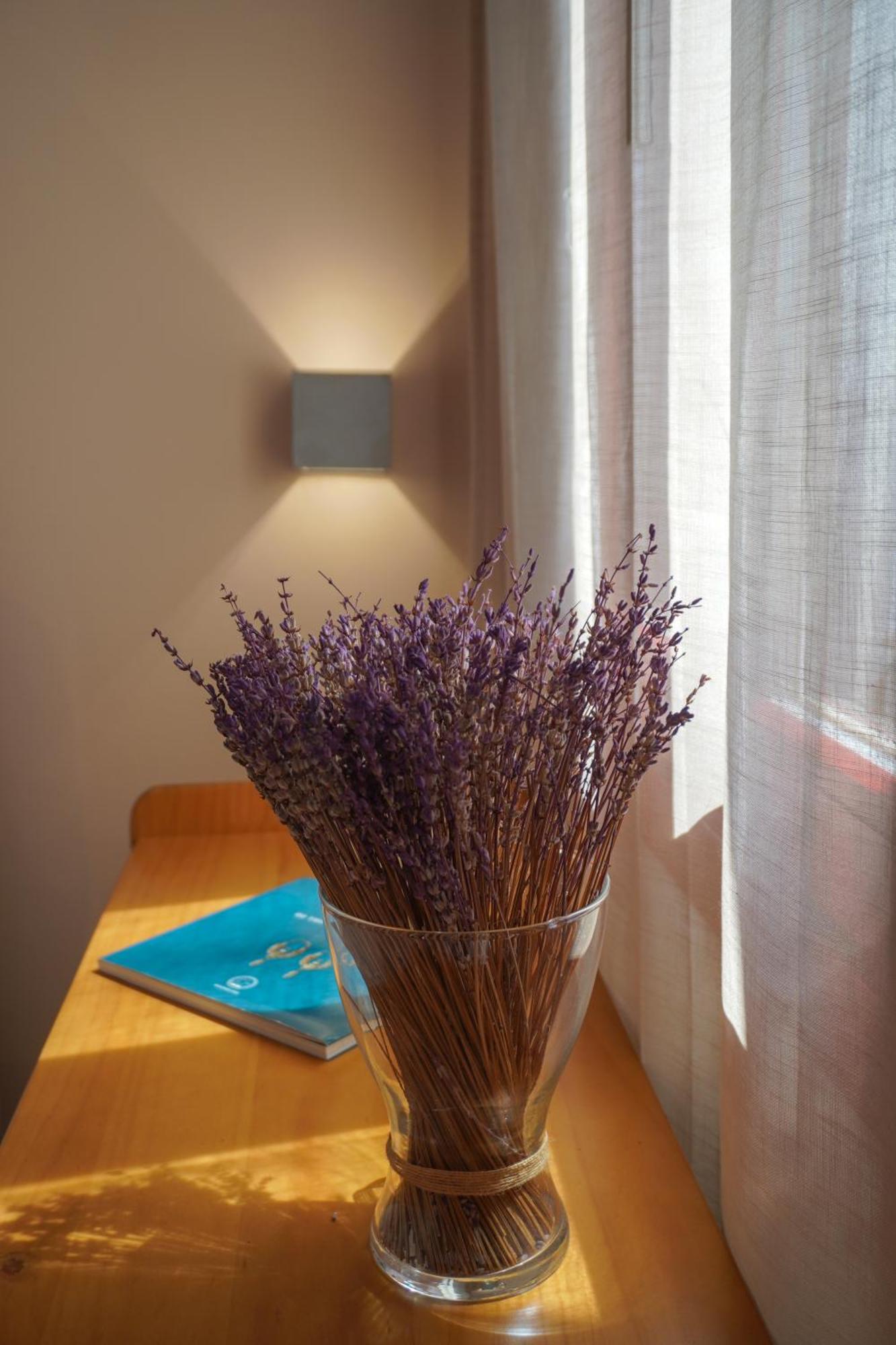 Arodou Studio And Apartment Mykonos Town Buitenkant foto